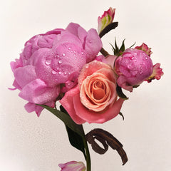 Full Body Fragrance Routine - Vibrant Handpicked Bloom Assortment