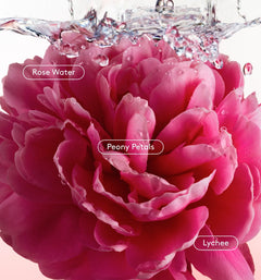 All Over Deo - Timeless Modern Bloom Assortment