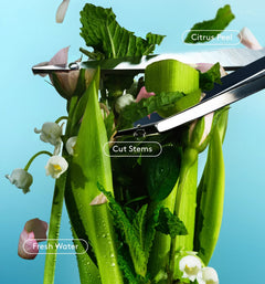 Full Body Deo Dry-Spray - Artful Editorial Splash Assortment