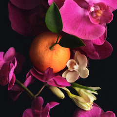 Scent Layering Trio - Spirited Favorite Pink Assortment
