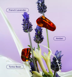 Skin Replenishing Body Wash - Creative Boutique Latte Assortment