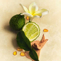 Scent Layering Trio - Vibrant Handpicked Muse Assortment